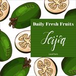 手绘风格水果底纹矢量图下载