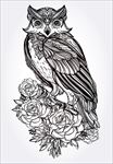 手绘插画图腾矢量图下载