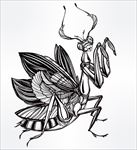 手绘插画图腾矢量图下载