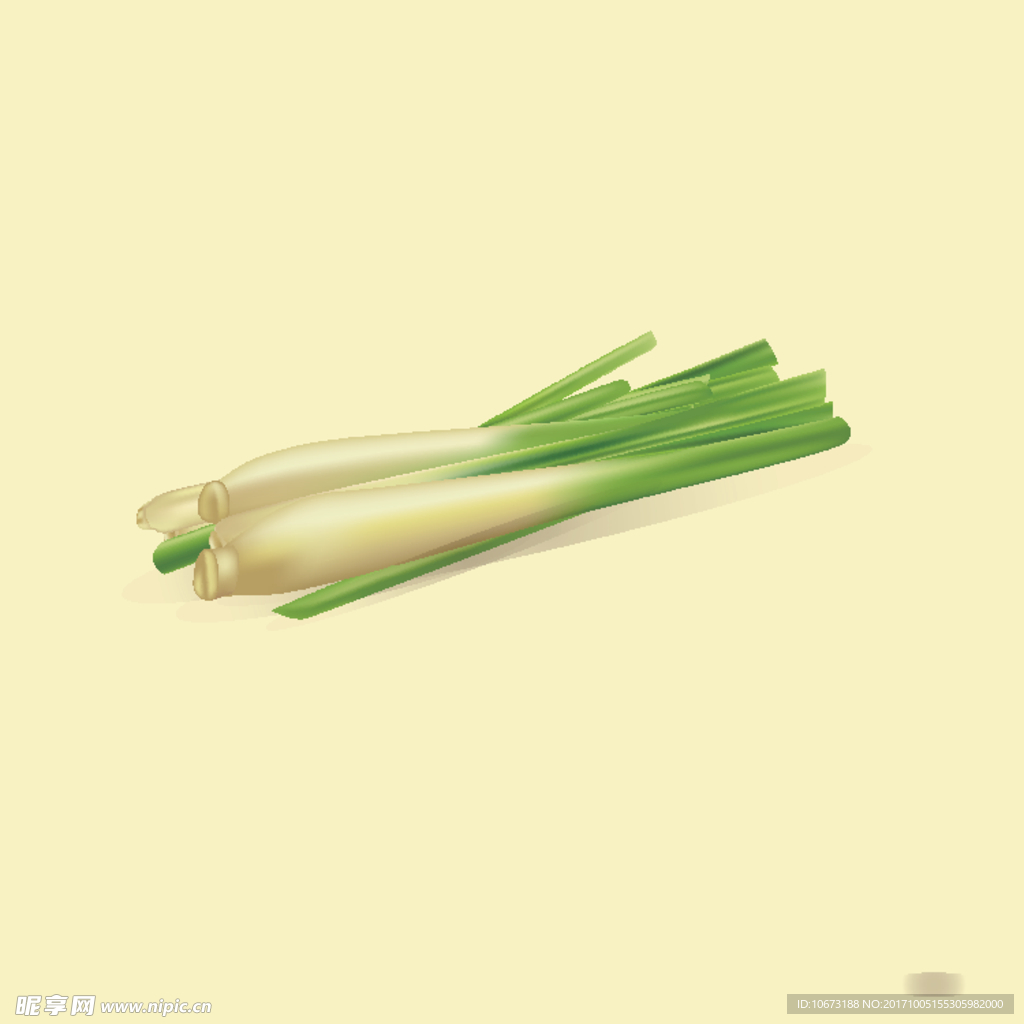卡通柠檬草