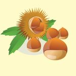 卡通栗子