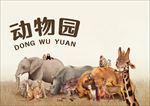 动物群体