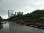 走在雨中