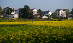 南京高淳慢城度假村