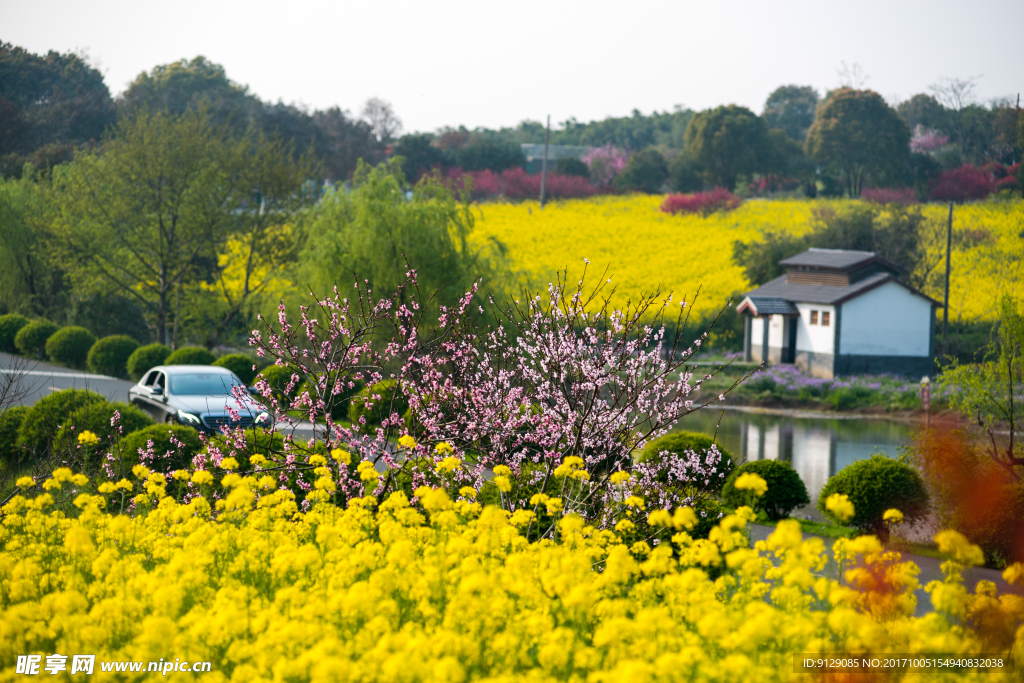 南京高淳慢城度假村