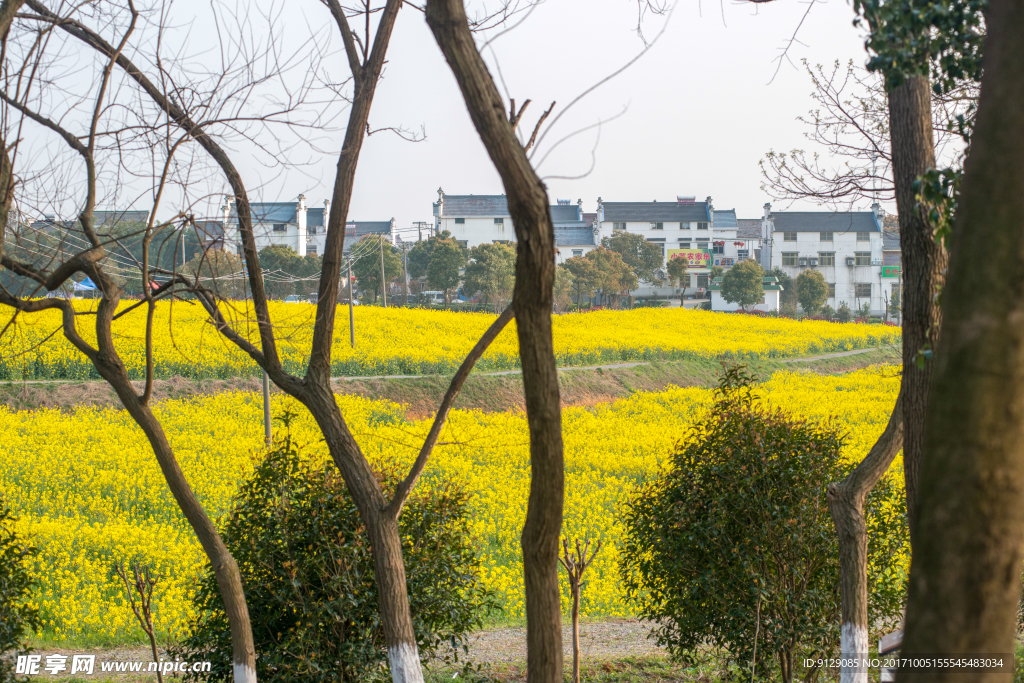 南京高淳慢城度假村