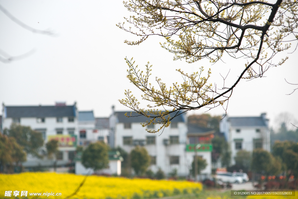 南京高淳慢城度假村