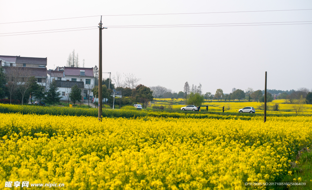 南京高淳慢城度假村