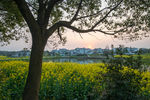 南京高淳慢城度假村