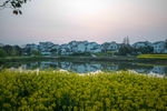 南京高淳慢城度假村