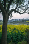 南京高淳慢城度假村