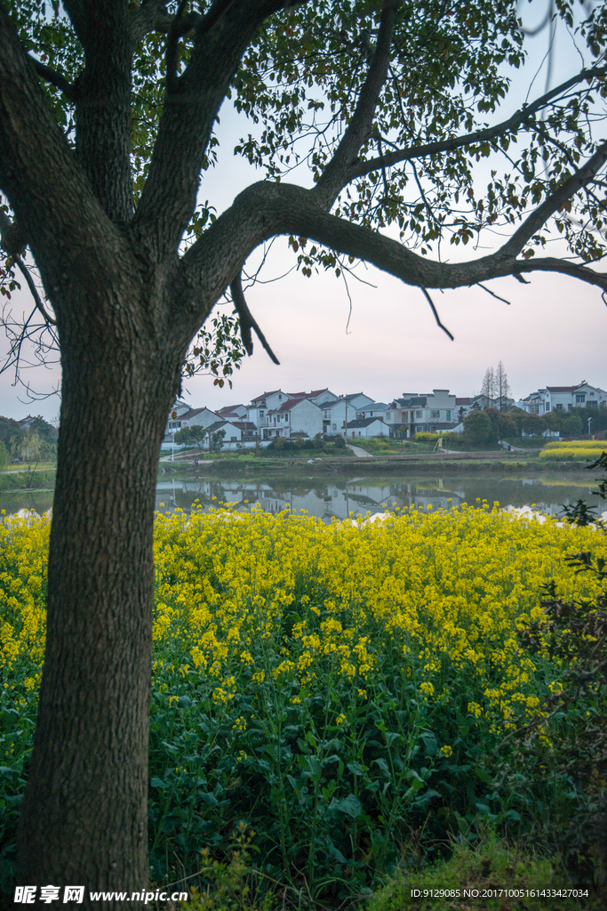 南京高淳慢城度假村