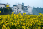 南京高淳慢城度假村