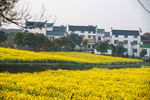 南京高淳慢城度假村