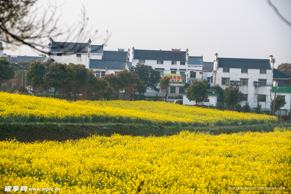 南京高淳慢城度假村