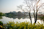 南京高淳慢城度假村