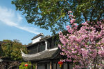 严家花园