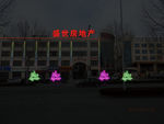 夜景 亮化 树 彩色灯带  发