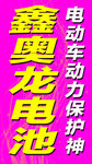 鑫奥龙 电池 电动车动力保护神