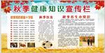 健康知识栏