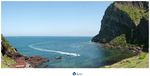济州岛