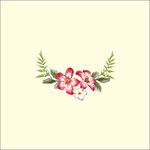 手绘花图片