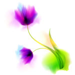 水彩抽象花