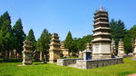 少林寺塔林