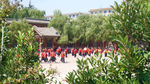 少林寺弟子