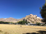高山下的麦田