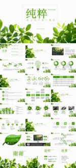 绿色植物ppt模板