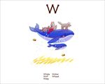 有趣动物字母W