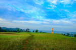 农场风景