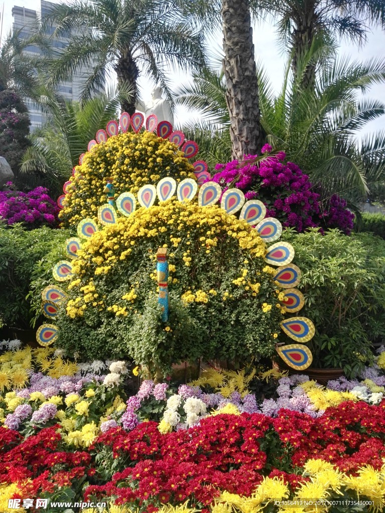 菊花