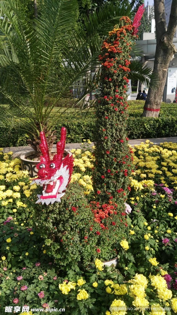 菊花