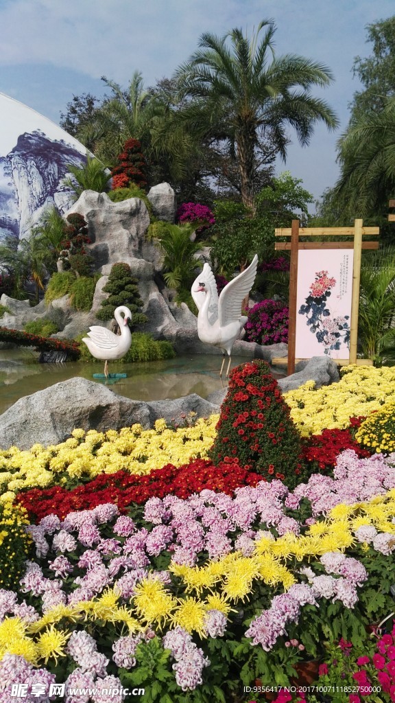 菊花