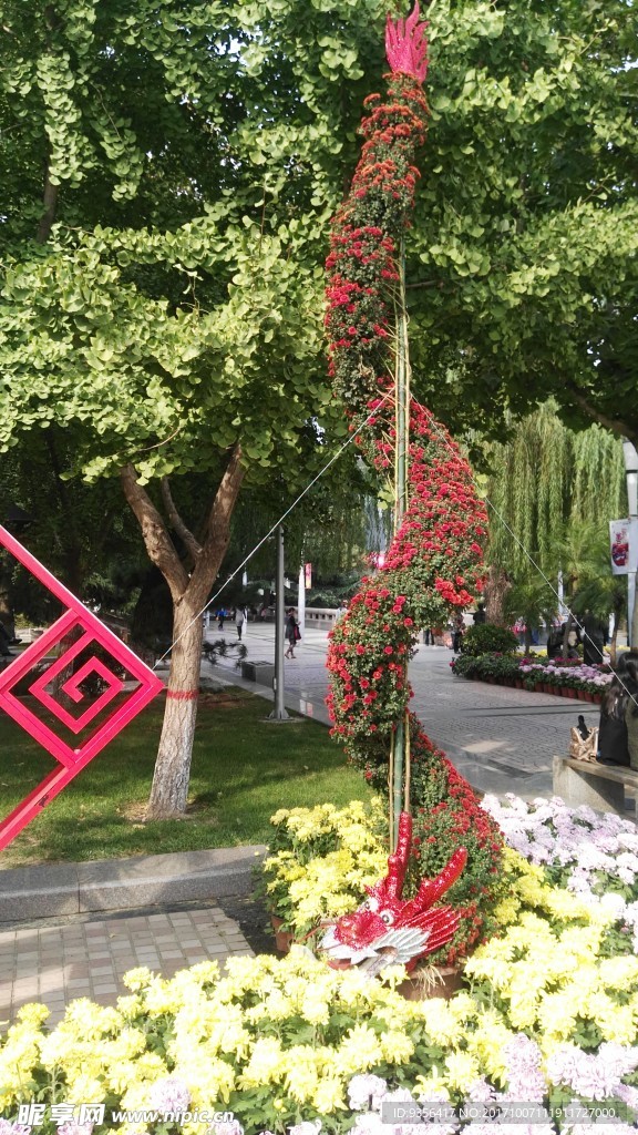 菊花