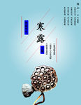 寒露