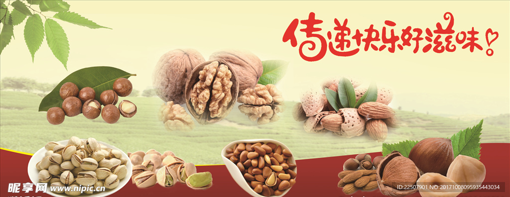 干果大全