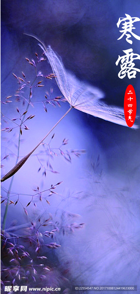 二十四节气寒露