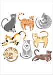 手绘卡通猫矢量图下载
