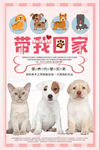 带我回家
