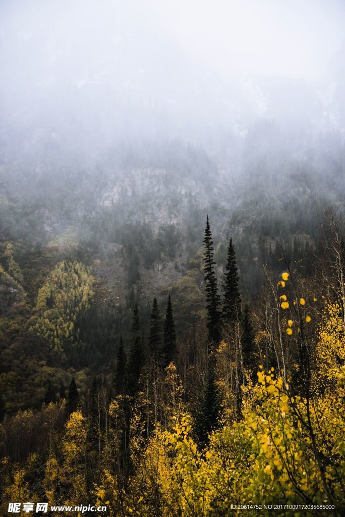高山美景