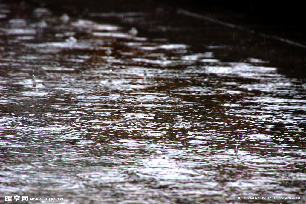 秋雨