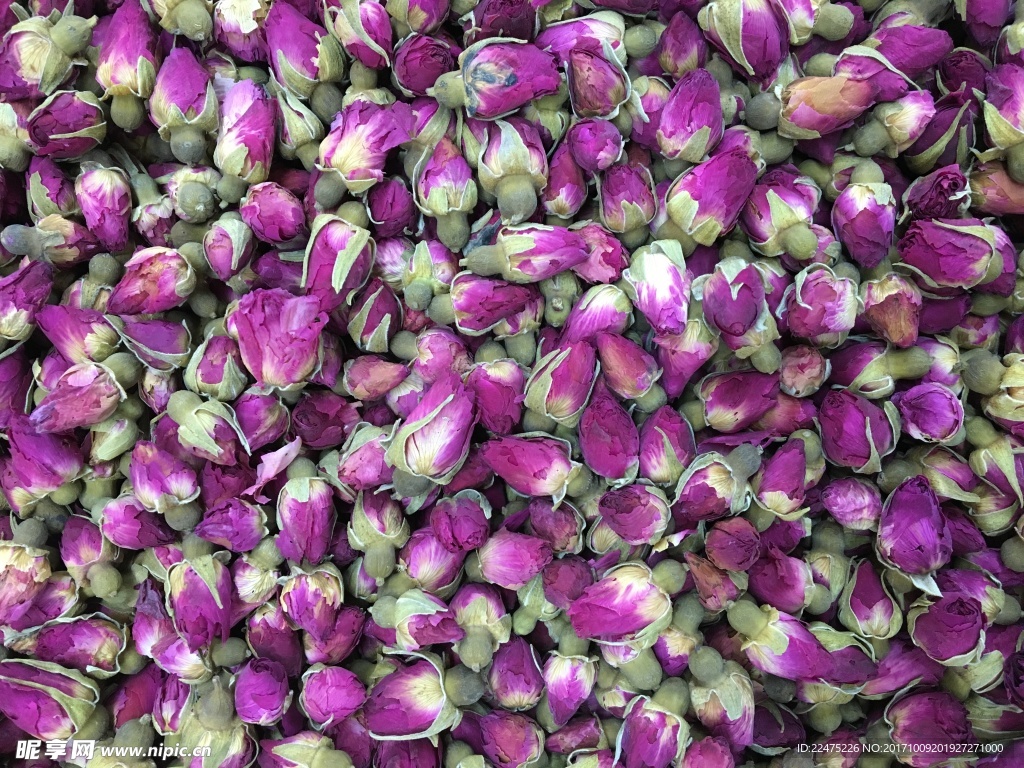 玫瑰花蕾干品