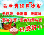 绿色鸡蛋