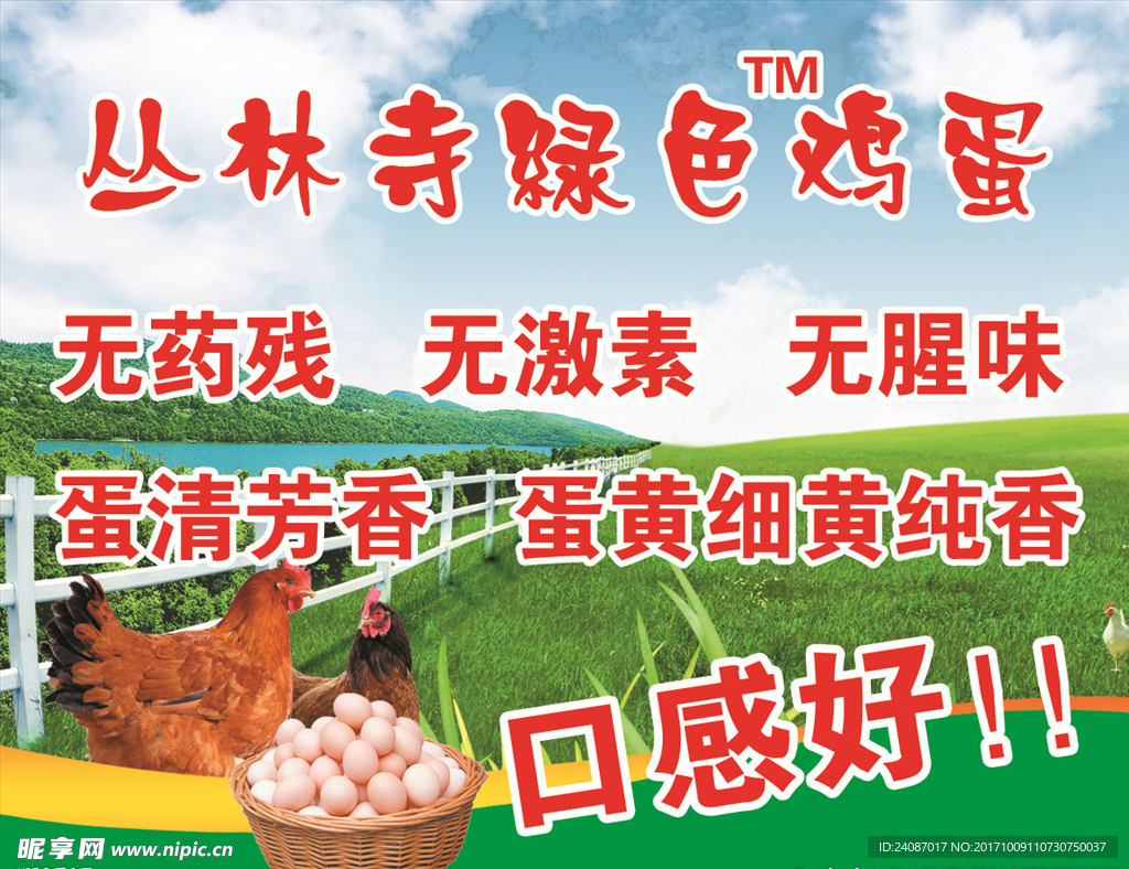 绿色鸡蛋