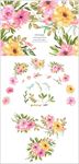 手绘鲜艳花朵鲜花组合花水彩画