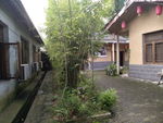 庭院