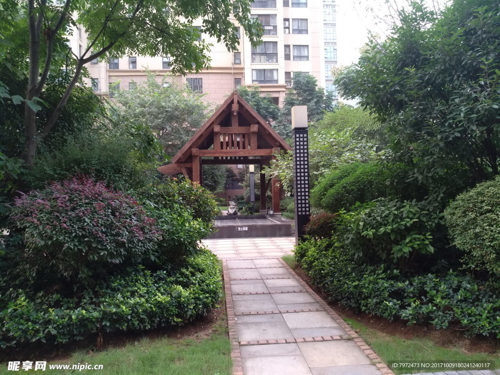 小区绿化